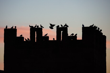 patrimoni__003
